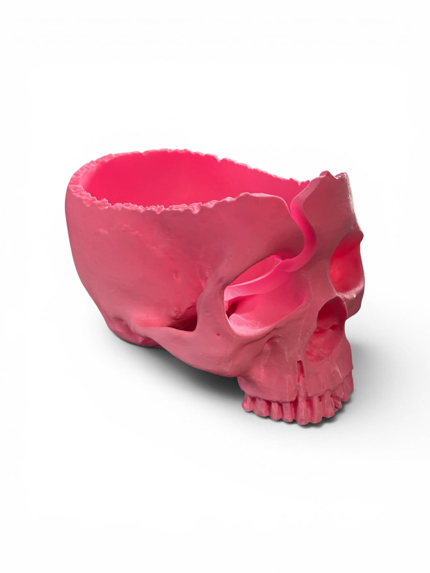Skull Yarn Bowl